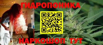 PSILOCYBIN Краснознаменск