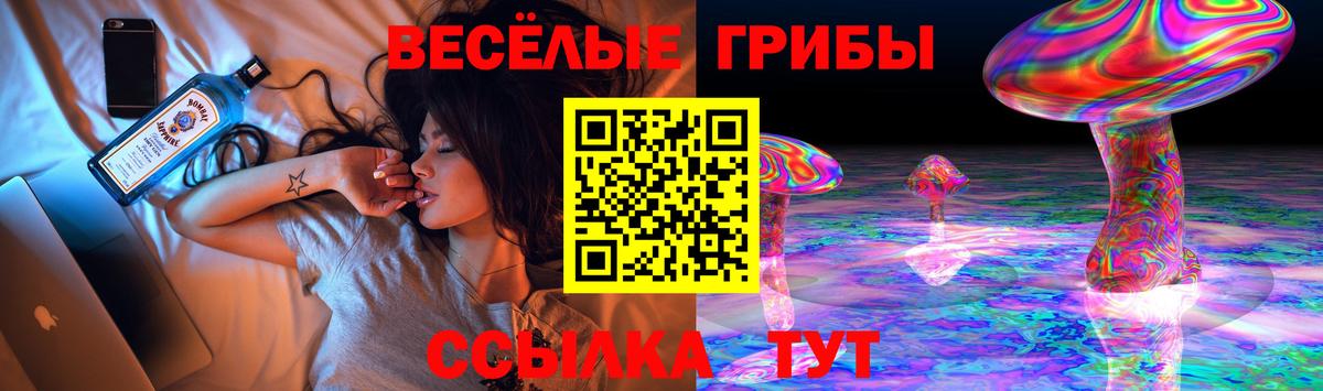 Галлюциногенные грибы MAGIC MUSHROOMS  Псилоцибиновые грибы прущие грибы  Красногорск  Вход с VPN 